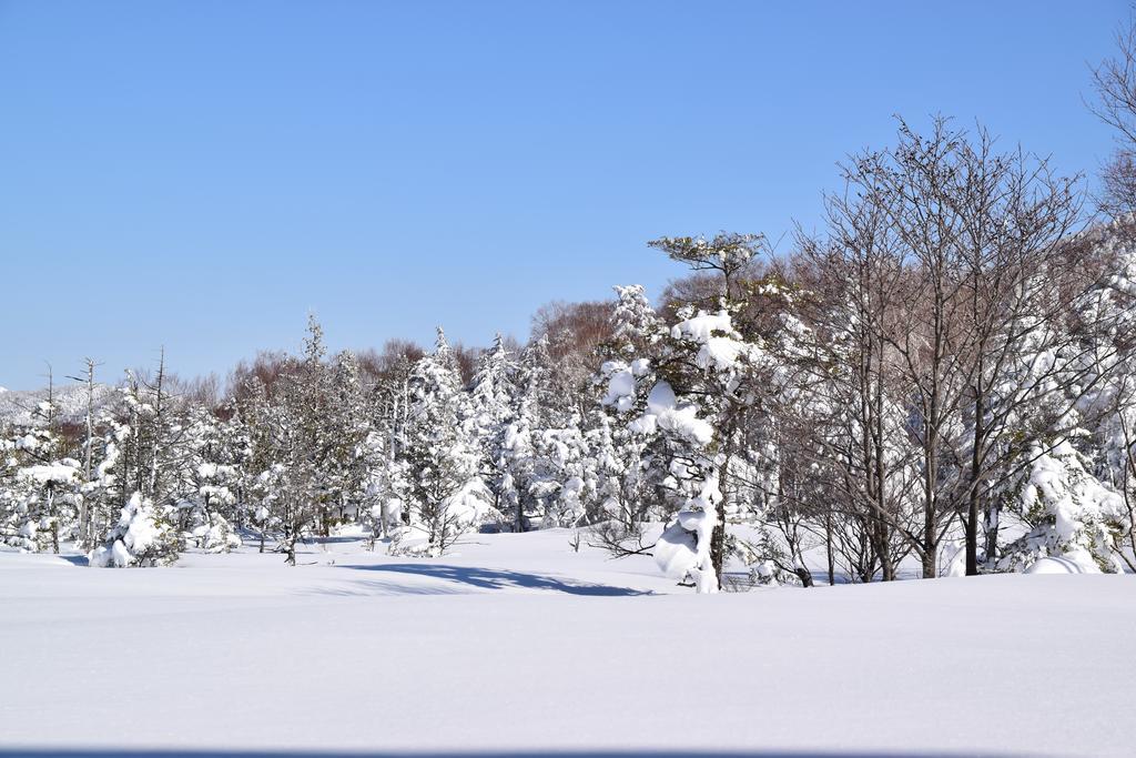 Villa Ichinose Яманути Экстерьер фото